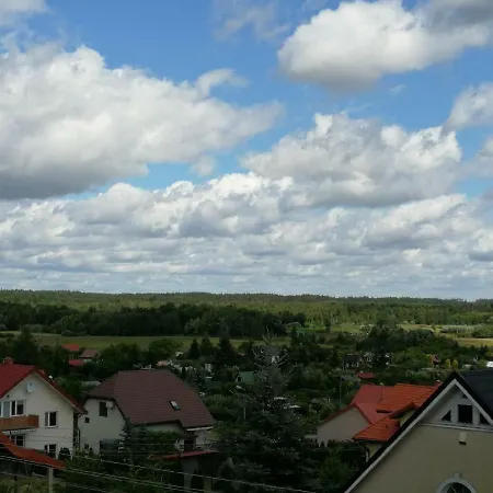Miodzik 오지시